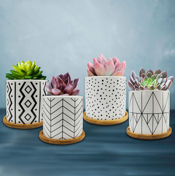 Succulent Planters with Drainage, Geometric Patterned, Minimalist Design 3.5 Inch Small Succulent Pots, Ceramic Flower