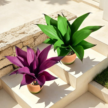 2 Set Real Touch Artificial Agave Plants, Lifelike Faux Succulent in Pot Desk Table Snake Plant Indoor Decor Bathroom