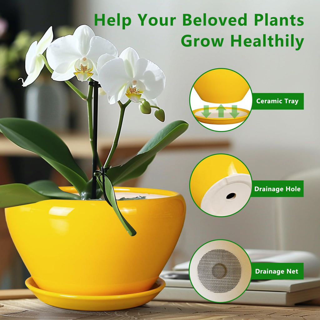 Indoor Planter 11 Inch - Decorative Mid-Century Large Ceramic Plant Pot for Outdoor Plants with Drainage Hole and
