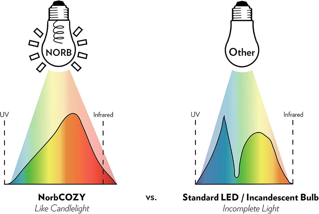 NorbCOZY G25 LED Bulb - Amber Glass 4W Spiral Filament Globe, 2700K Candlelight Glow, E26, Energy-Efficient Wellness