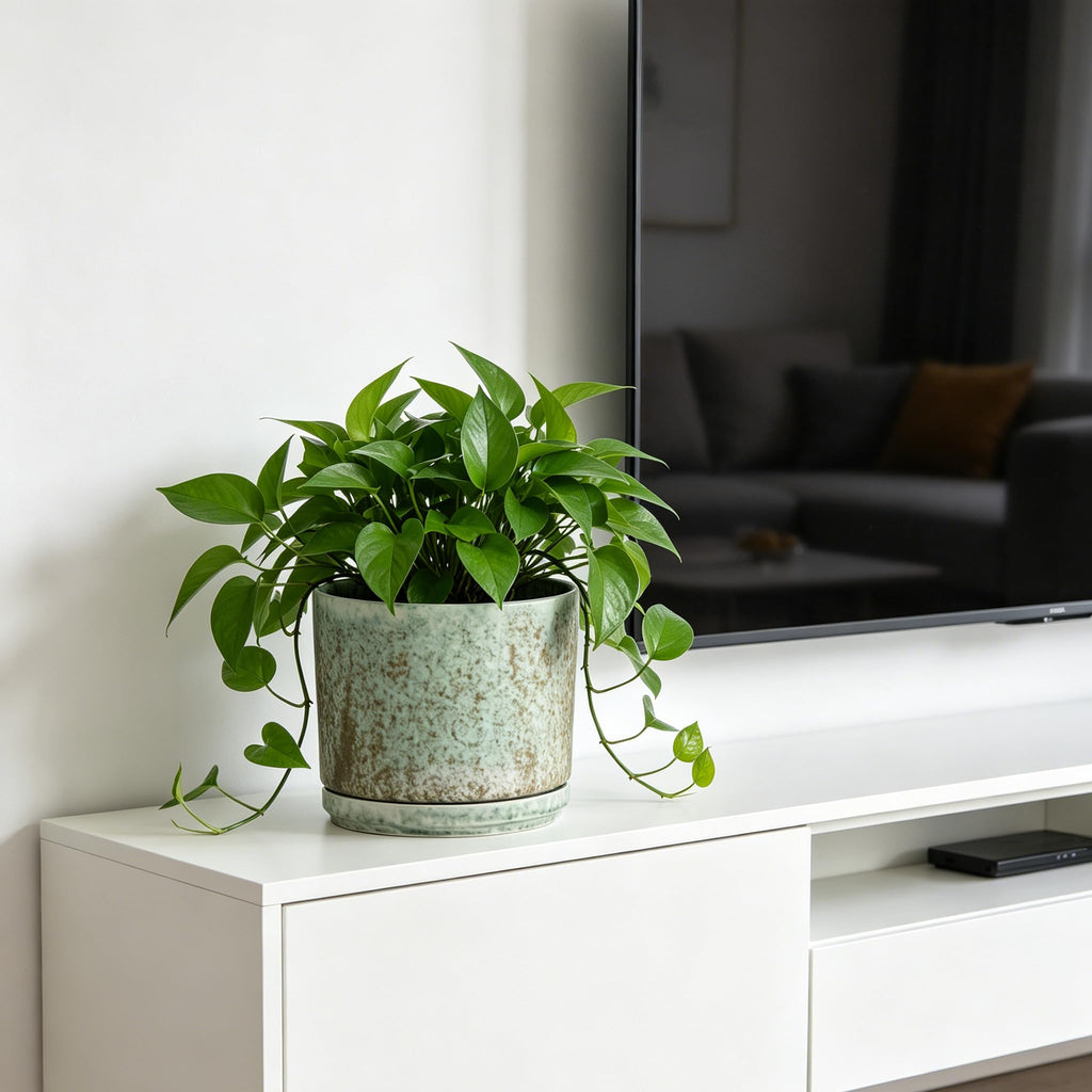 7 Inch Modern Plant Pot, Ceramic Glaze Planters for Indoor Plants, Round Flower Pots with Drainage Hole and Saucer