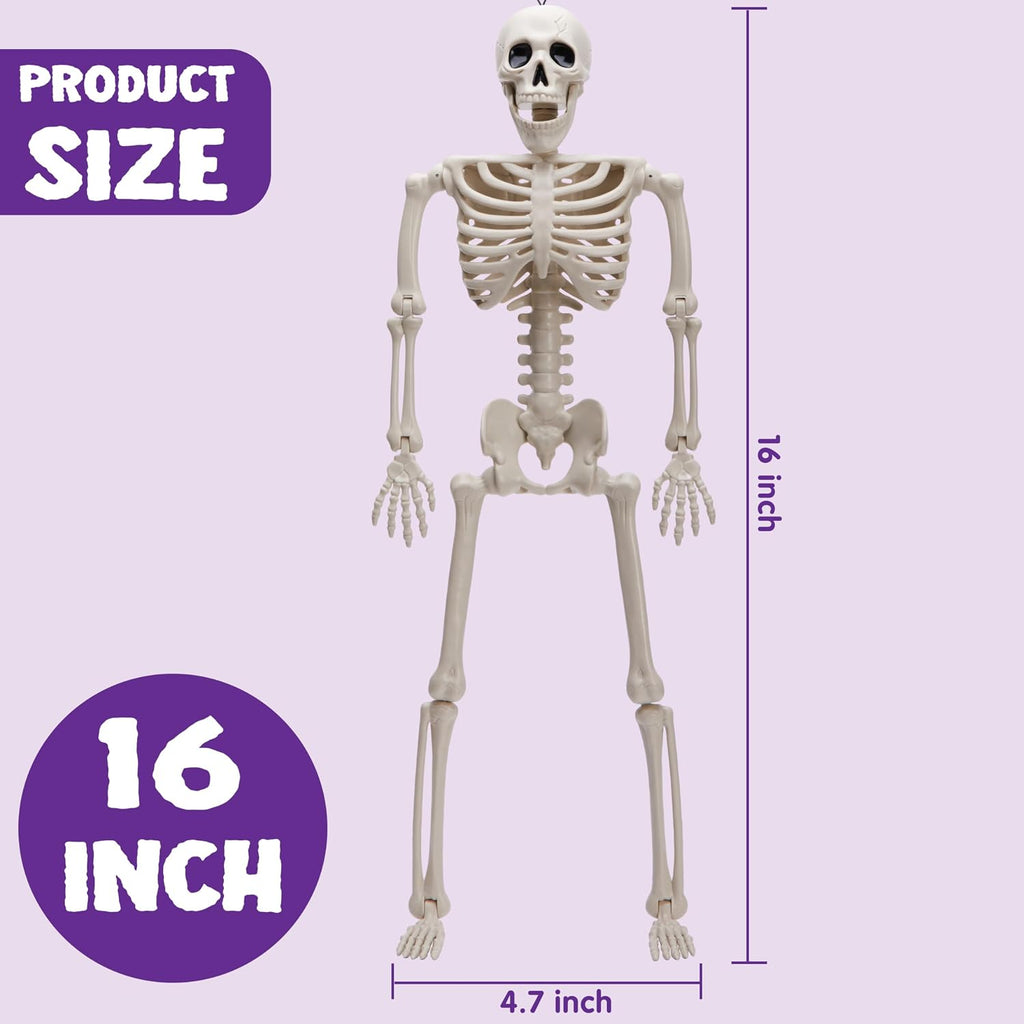 Posable Halloween Skeleton Decor 16 Inches, Full Body Posable Joints Hanging Skeletons for Halloween - Set of 5