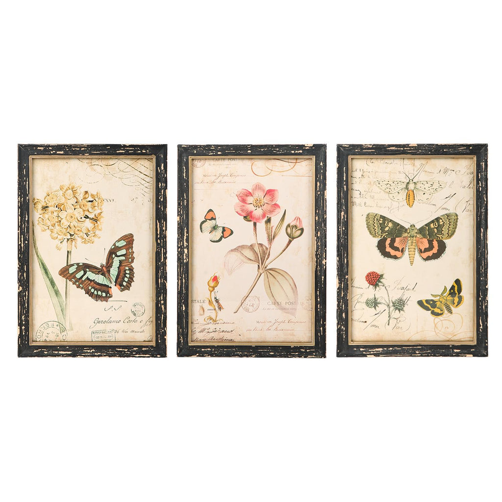 Set of 3 Vintage Butterfly Wall Art Poster Print Rustic Botanical Picture Decor Floral Plant Wooden Framed Plaque
