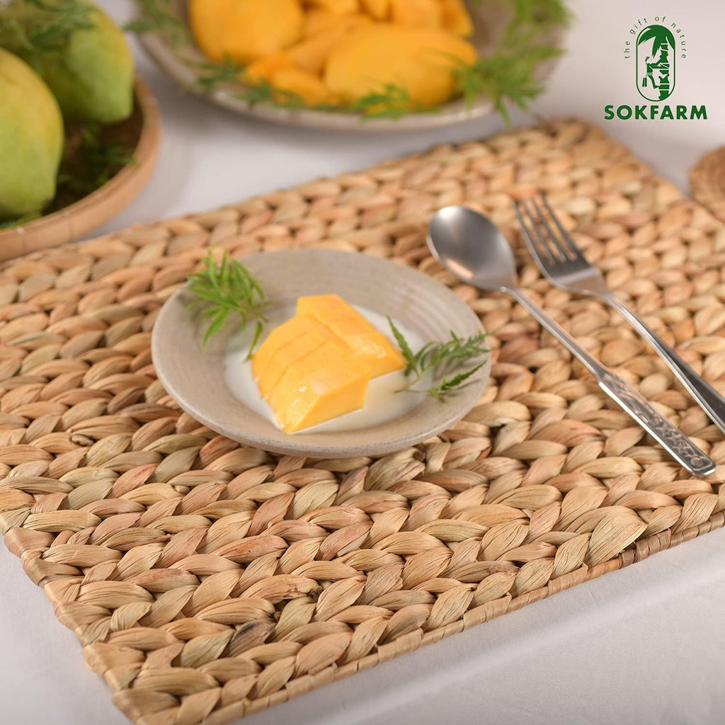 Water Hyacinth Rectangular Placemats, 17 x 12 Inch Woven Rattan Table Mats for Dining Table, Heat Resistant - Set of 6