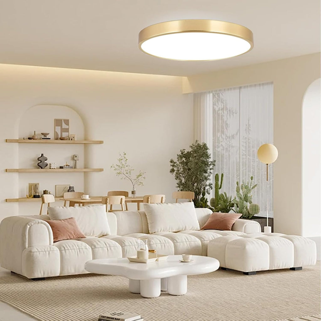 12 Inch Brushed Gold Metal Flush Mount LED Ceiling Light, 3000-5000K 20W Thin Round Modern Low Profile Ceiling Light