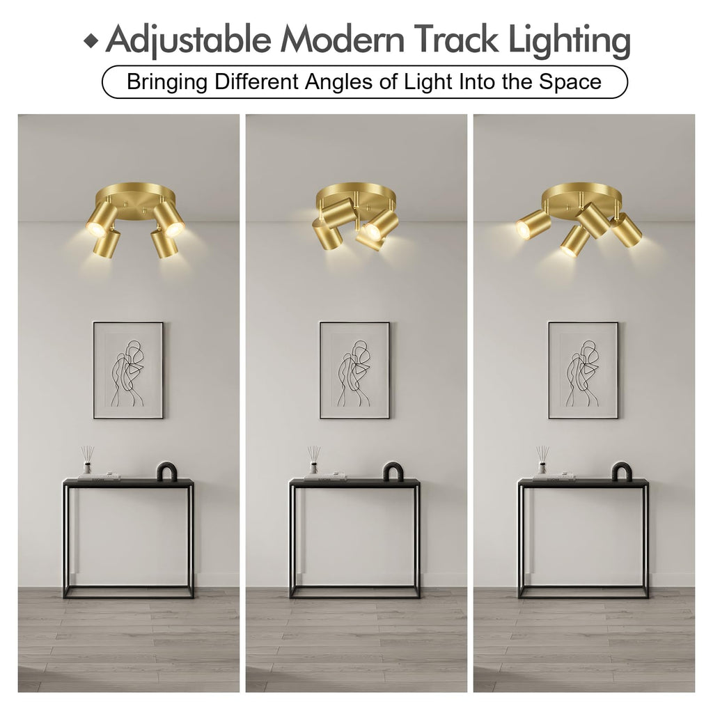 LED 4 Light Track Lighting Kit, LED Track Lighting Fixtures, Gold Round Ceiling Spot Lighting, Flexibly Rotatable