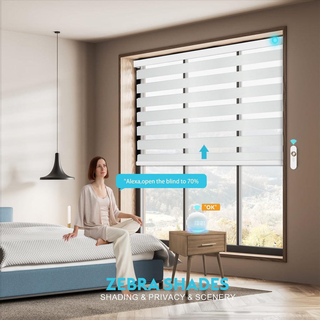 Motorized Zebra Blinds with Remote Smart Blind Work with Homekit Alexa SmartThings Electric Day and Night Shade