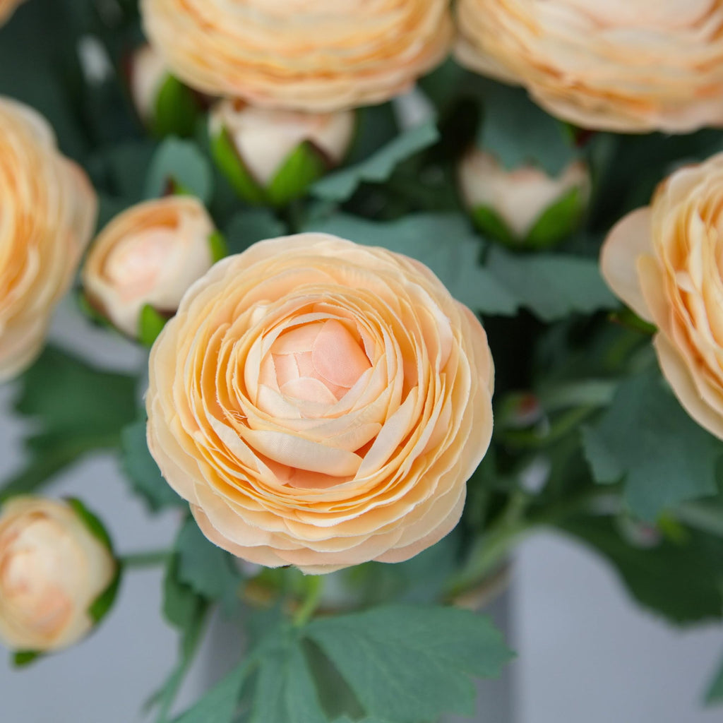 Artificial Ranunculus Flowers with Real Touch Stem, Silk Ranunculus Flowers (Champagne, 6pcs)