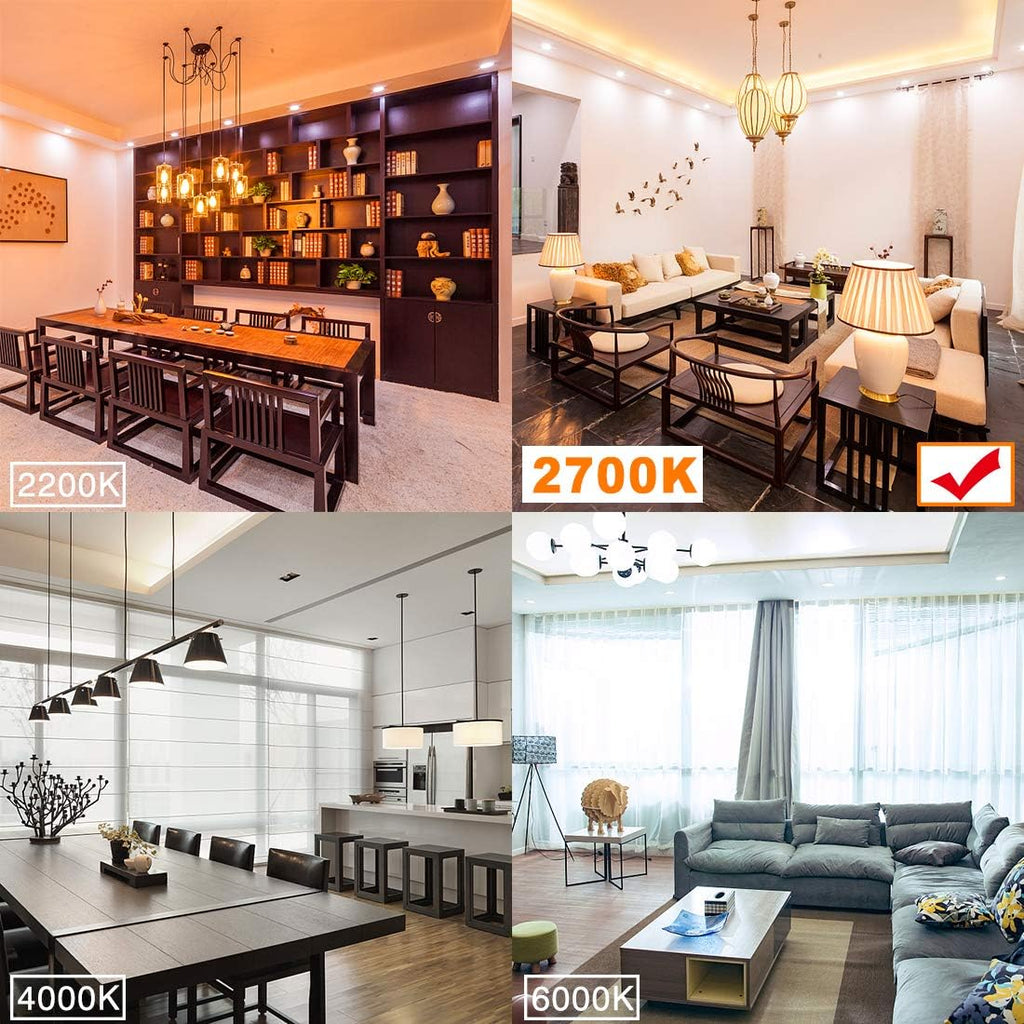 LED Edison Bulbs,Dimmable Vintage Light Bulbs,6W Warm,E26 Clear Glass