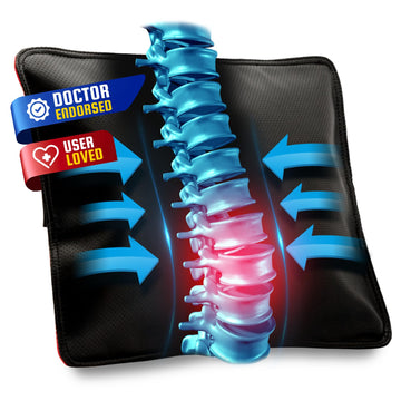 Back Vitalizer Lumbar Support Pillow Chair & Car