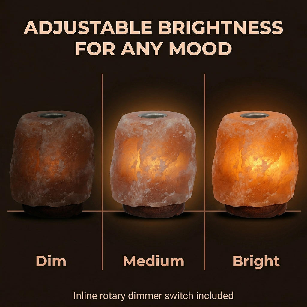 Himalayan Pink Salt Lamp Diffuser, Aromatherapy Tray, Dimmer Switch