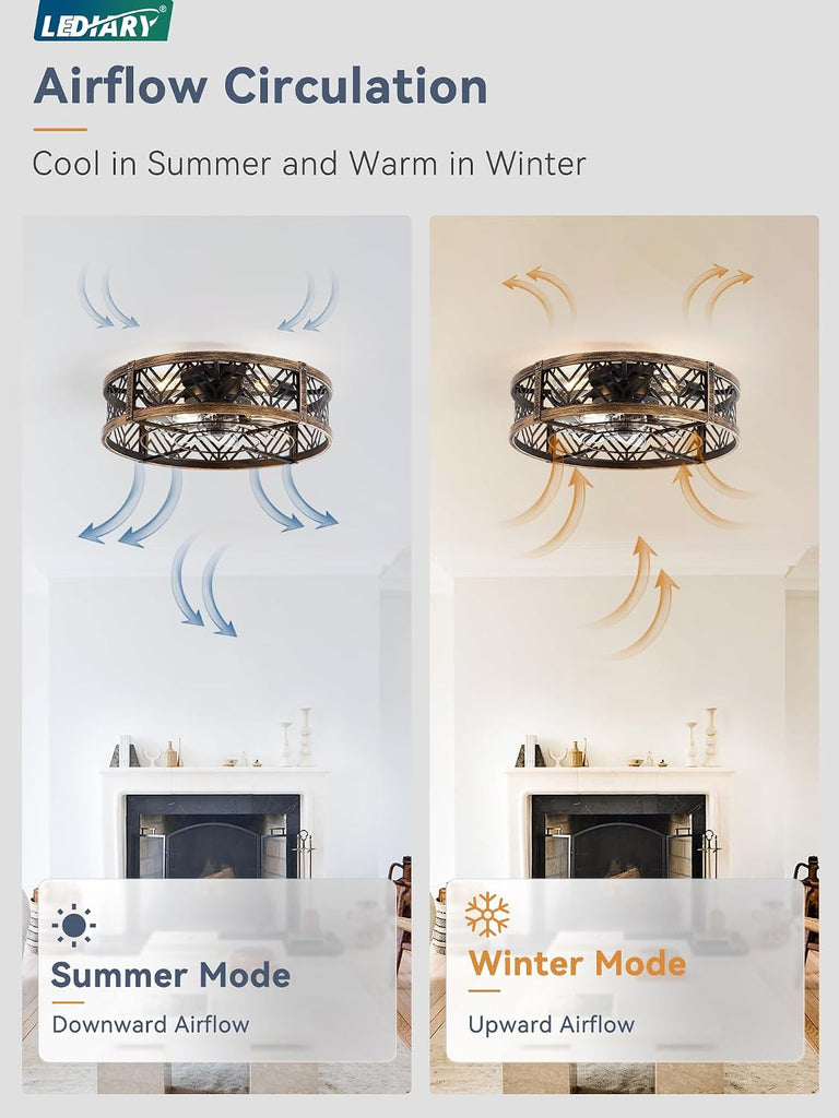 20 Inch Caged Ceiling Fan with Light, APP&Remote