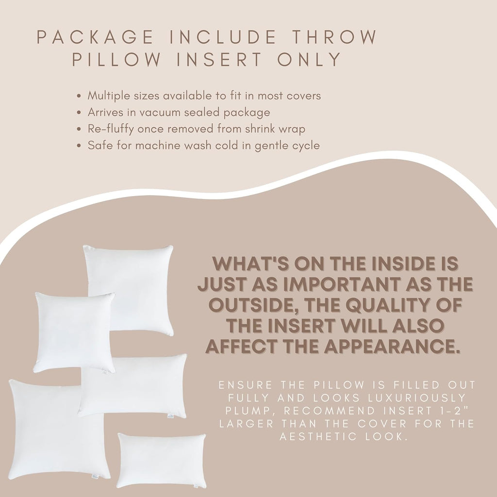 Down Alternative Throw Pillow Insert (20"x20"), Decorative Pillow for Sofa, Couch, Bed, Chair Cushion - Set of 2