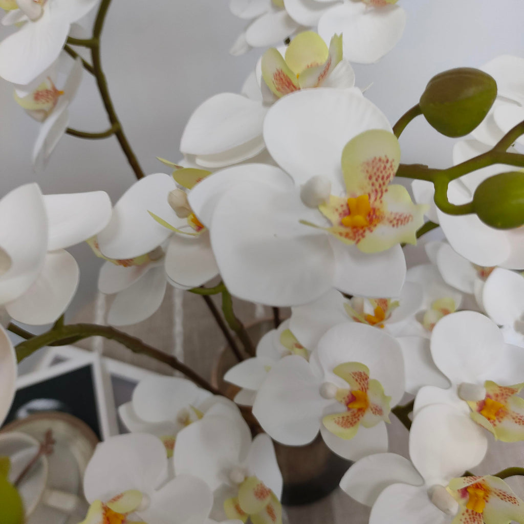 8 Pack White Orchid Artificial Flowers Real Touch, 22'' Artificial Fake Faux Silk Orchid Stem Bouquets for Wedding