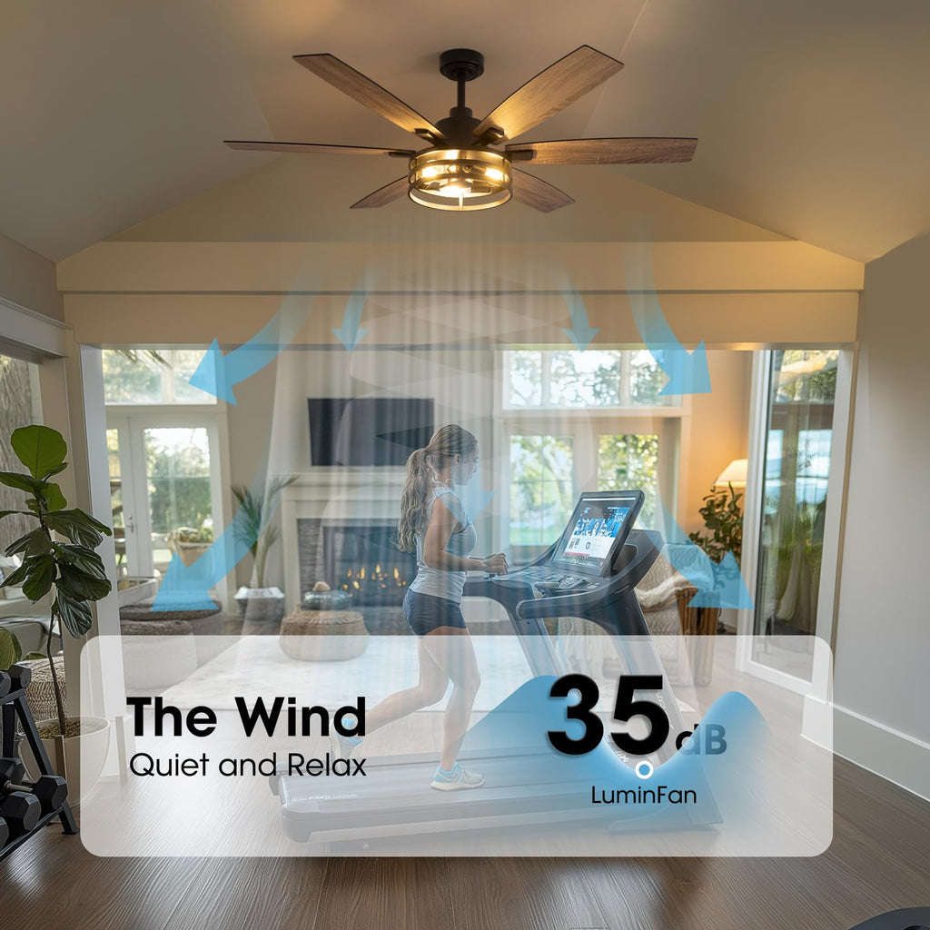 60 Inch Ceiling Fans with Lights and Remote Control, Farmhouse Ceiling Fan Living Room and Patio, Black Caged Ceiling