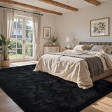 5x7 Fluffy Shag Area Rug, Ultra Soft Non-Slip Plush Carpet for Bedroom Kids Room Black