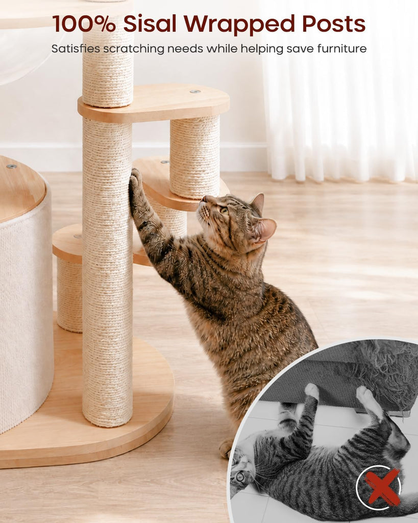 Solid Wood Cat Tree for Kitten & Munchkin, Modern Cat Tower with Low-Rise Steps, Indoor Multi-Level Aesthetic Boho