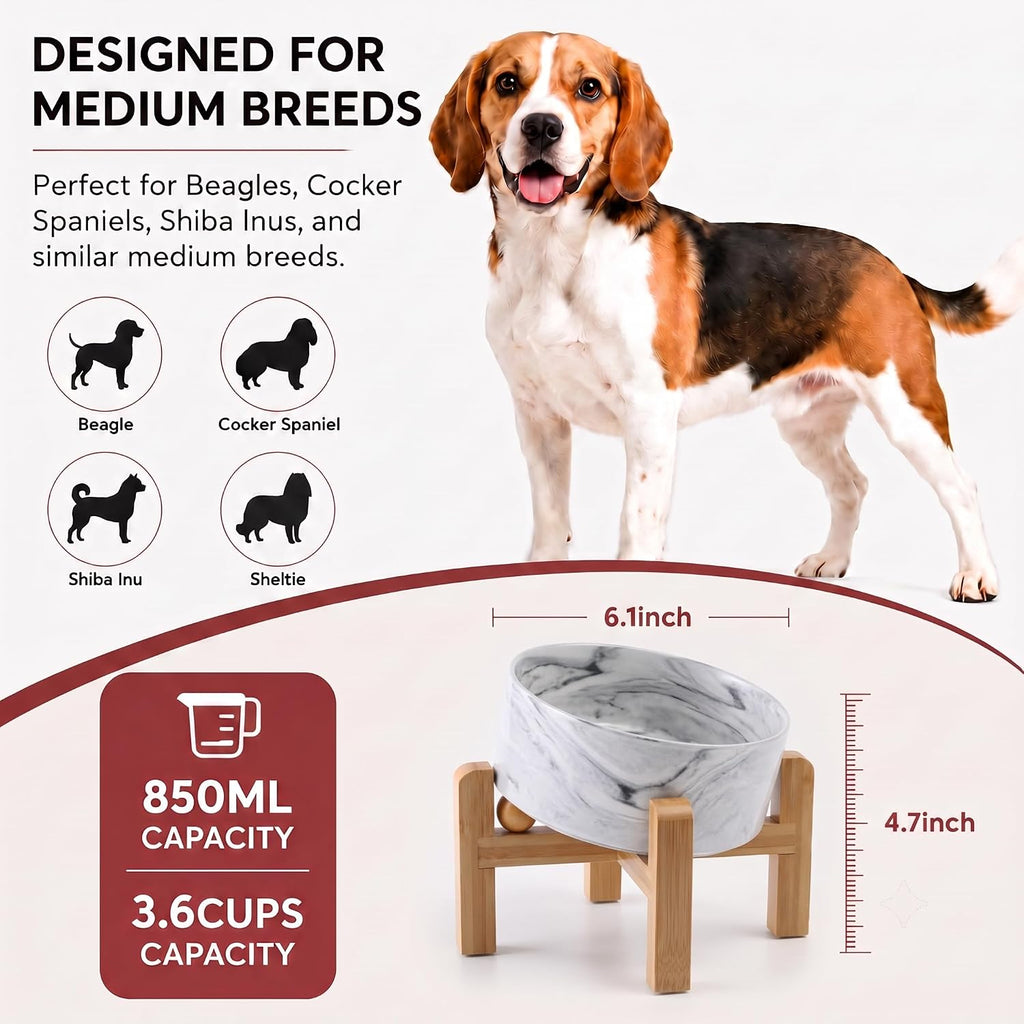 Elevated Ceramic Dog Bowl 15°Slanted Raised Dog Bowl with Bamboo Stand for Small Medium Dogs and Cats, Pet Feeder