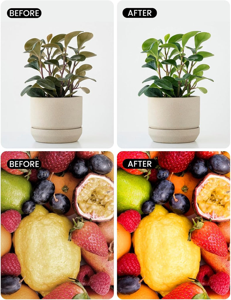 Full Spectrum Light Bulb, Grow Light Bulbs G45 Small Lightbulbs E26 LED 5W Eq 40W Globe 360-Degree PPFD Sunlight