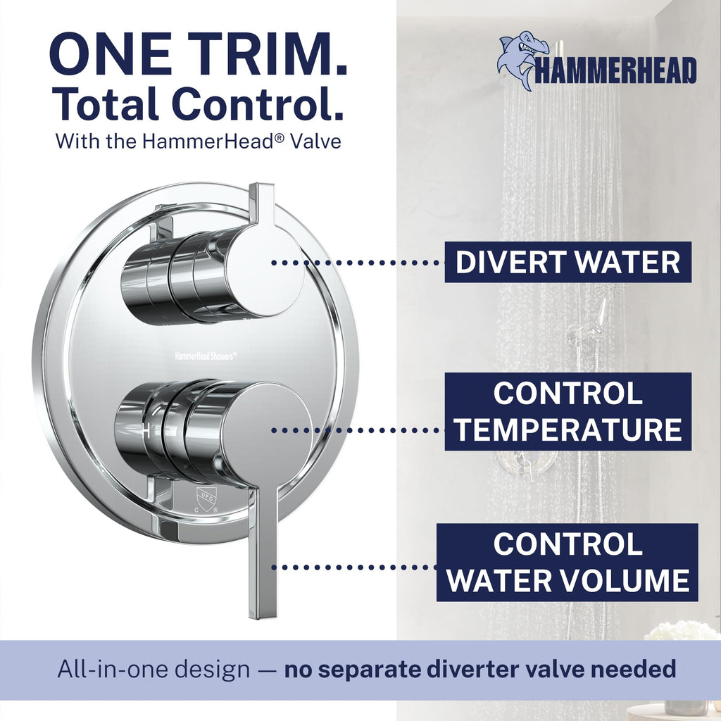 Metal Rain Shower System with Handheld, Valve and Trim Kit