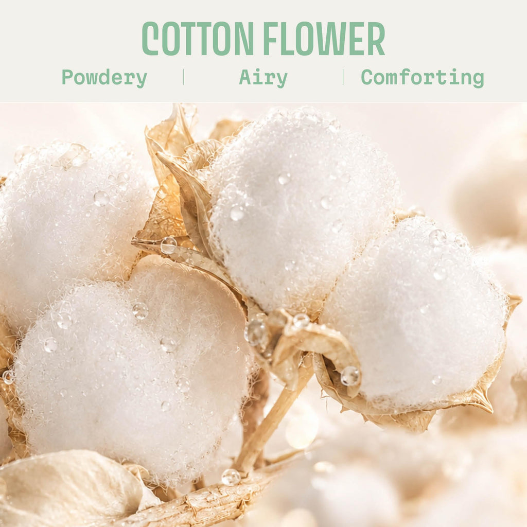 Cotton Flower Scented Candle Gift for Women, 9.7 oz