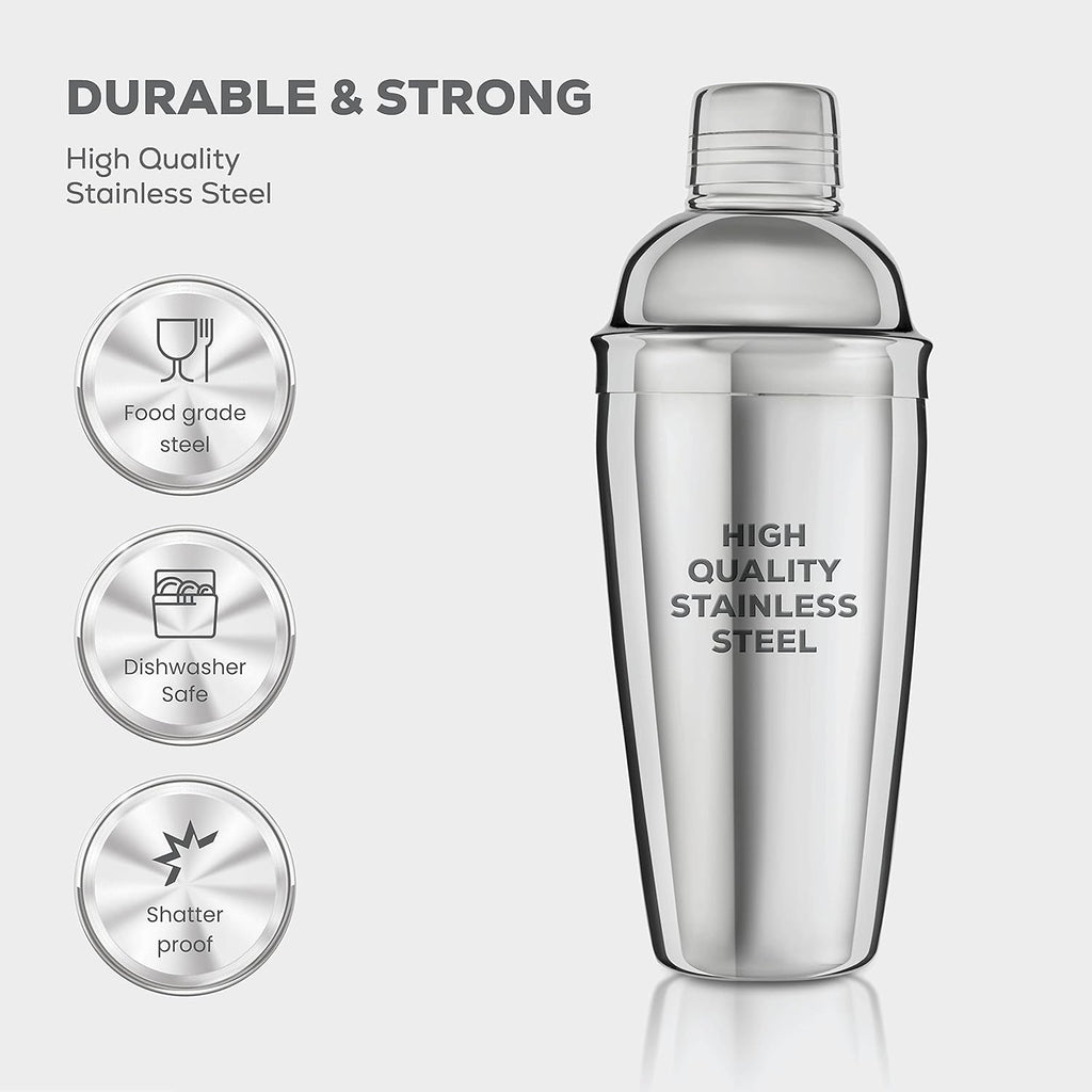 10-Piece Cocktail Shaker Set with Travel Bag - Stainless Steel Shaker Set Bartender Kit - Mixology Bartender Kit