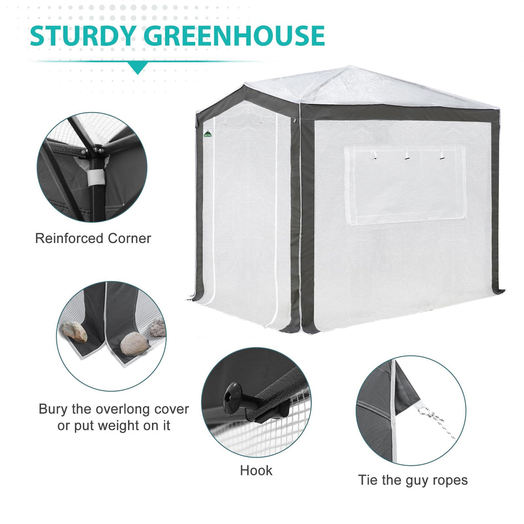 8x6 Walk in Pop Up Greenhouse, Gray/White