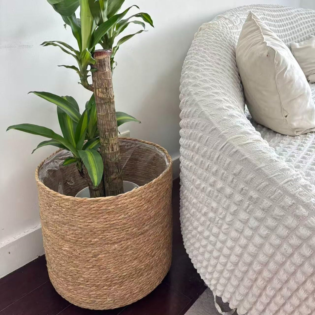 XLarge Handmade Seagrass Woven Planter Baskets (2 Pack)