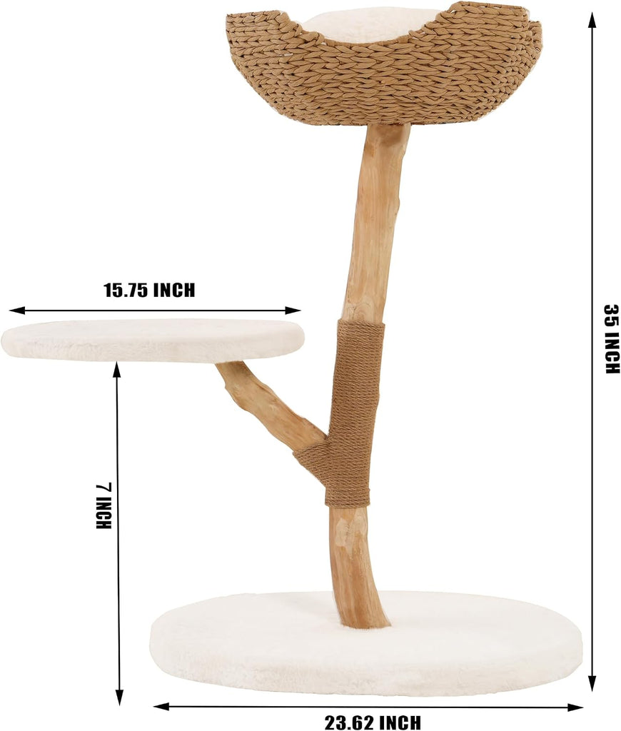 Modern Cat Tree, Natural Pear Wooden Cat Tower for Indoor Cats, Real Branch Luxury Cat Condo with Scratching Post &
