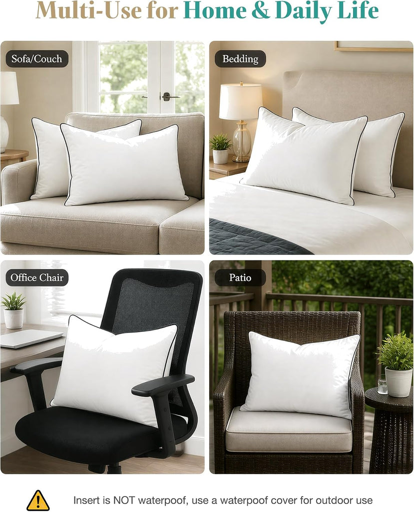 Goose Feather Down Throw Pillow Inserts 22x22 Inch - Set of 2