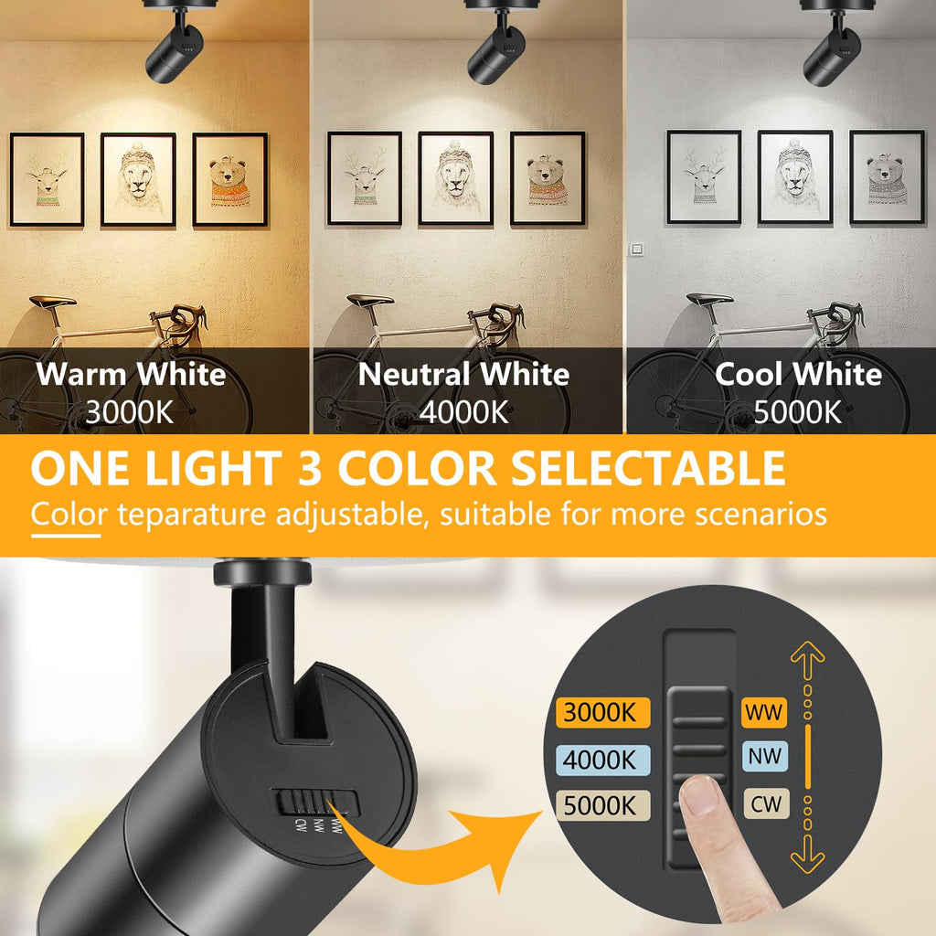Zoomable Ceiling Spot Lights Indoor, 10W 1000lm Black