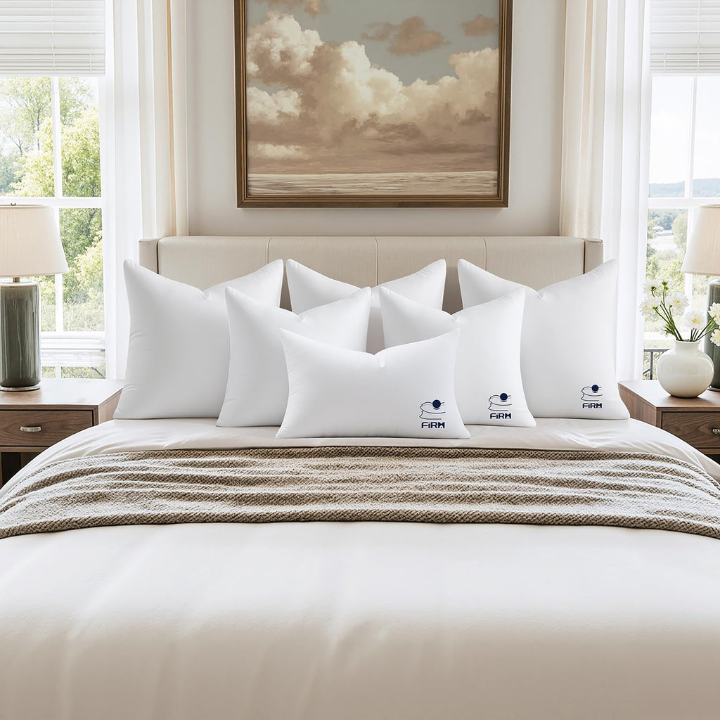 20x20 Throw Pillow Inserts, 100% Virgin Fiber Filling - Set of 2