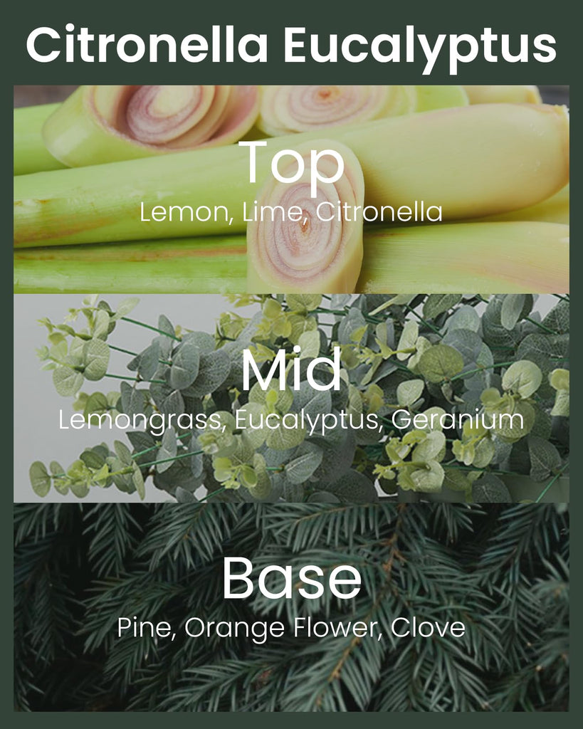 40 oz Large Citronella Eucalyptus Scented Candle Outdoor