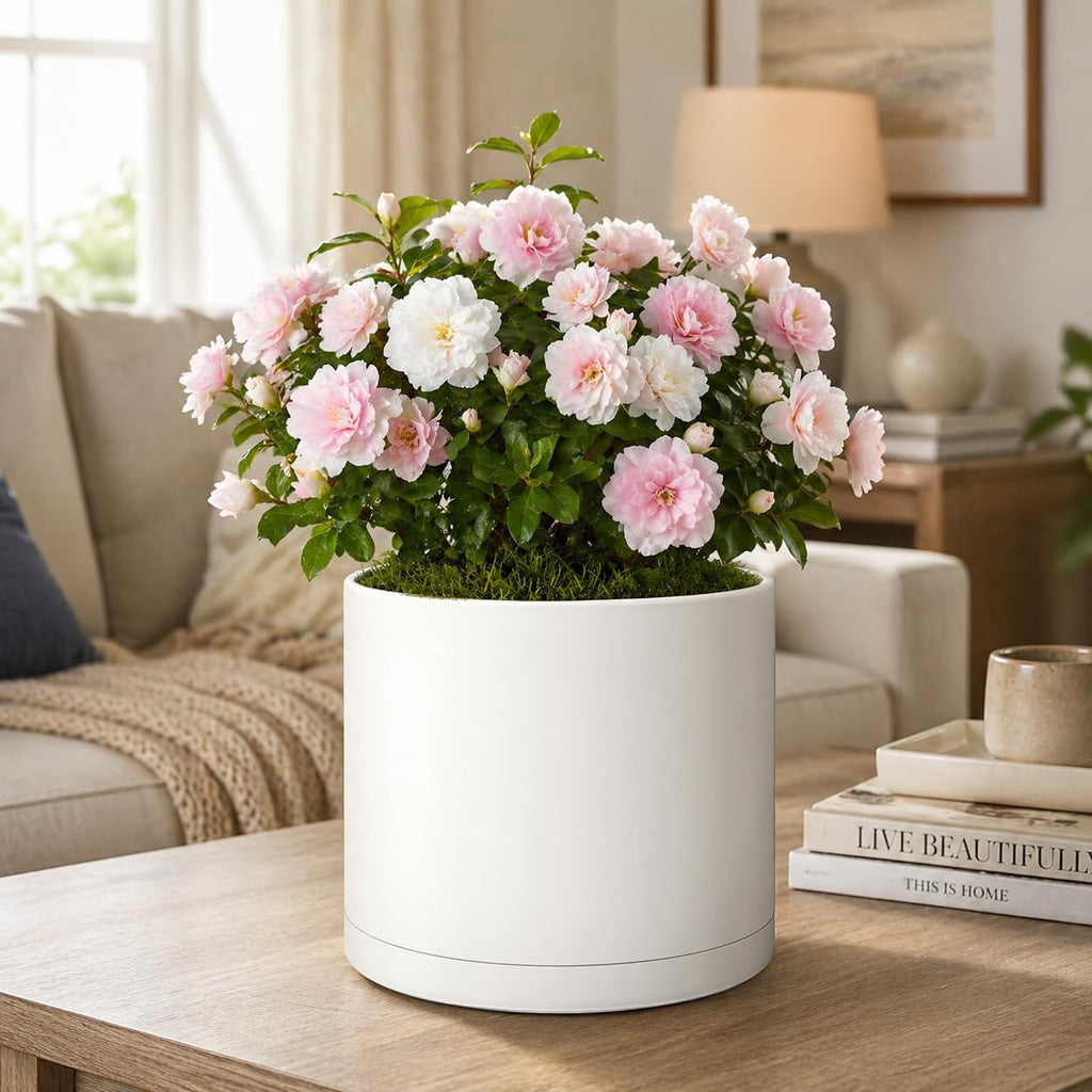 Cylinder Plant Pots 12/10/8 Inch Set of 3, Modern Round Planters with Drainage Holes and Saucers, Durable Plastic