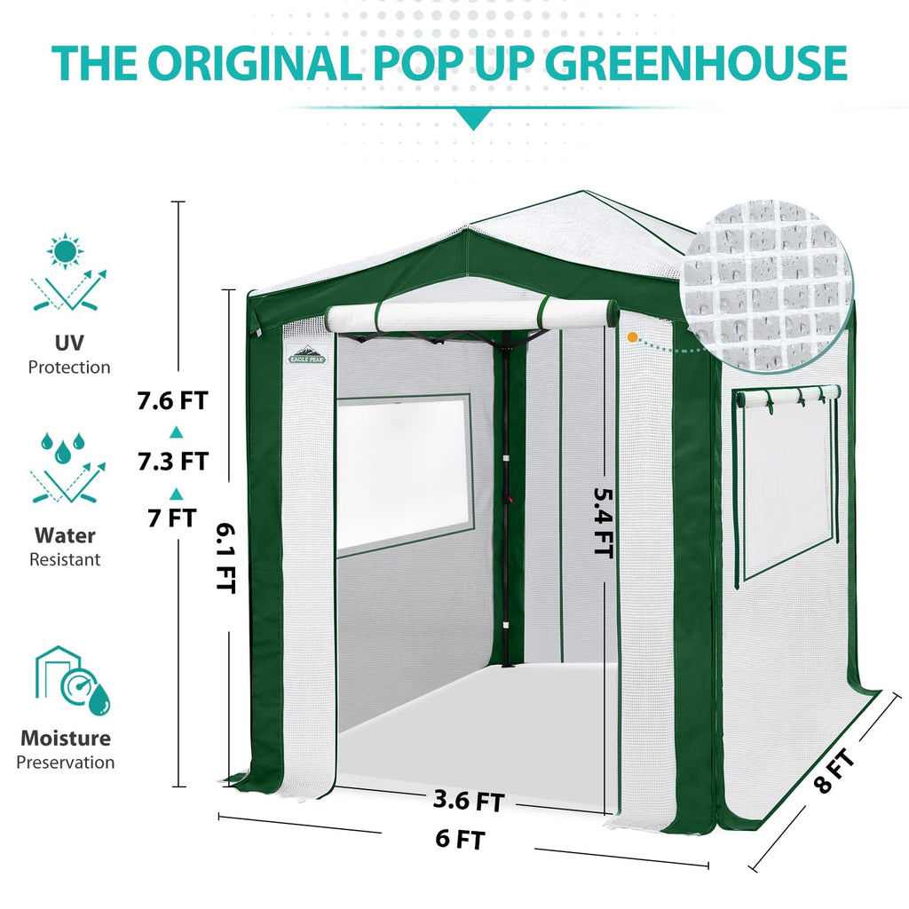 8x6 Walk in Pop Up Greenhouse, Green/White