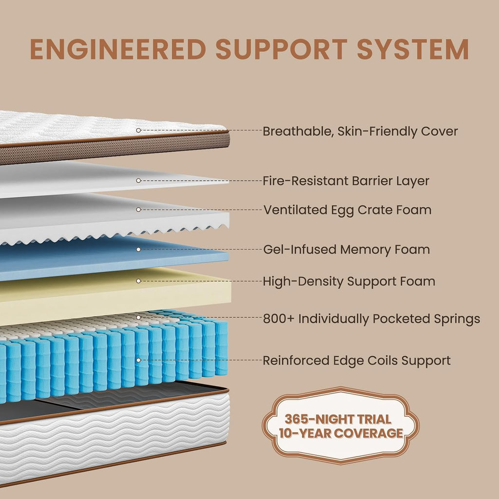 California King Mattress - 14 Inch Hybrid Mattress with Orthopedic Lumbar Support & Motion Isolation - Individually