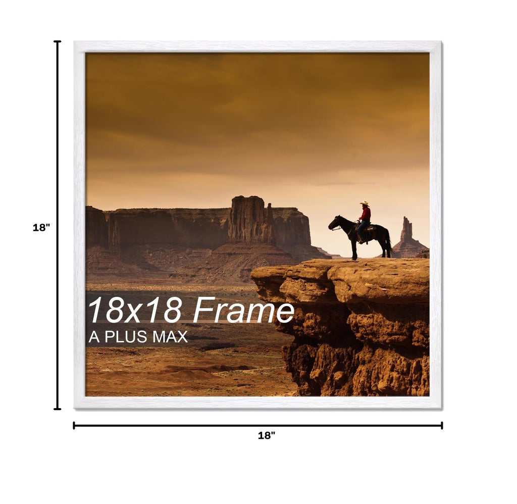 18x18 Picture Frame White Light Weight Wall Mount