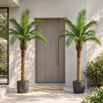 2-Pack 5.8ft Tall Artificial Phoenix Palm Trees for Outdoors - Large Faux Coconut Silk Tropical Palm, UV-Resistant