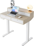32 x 20 inch Electric Standing Desk with 4 Drawers