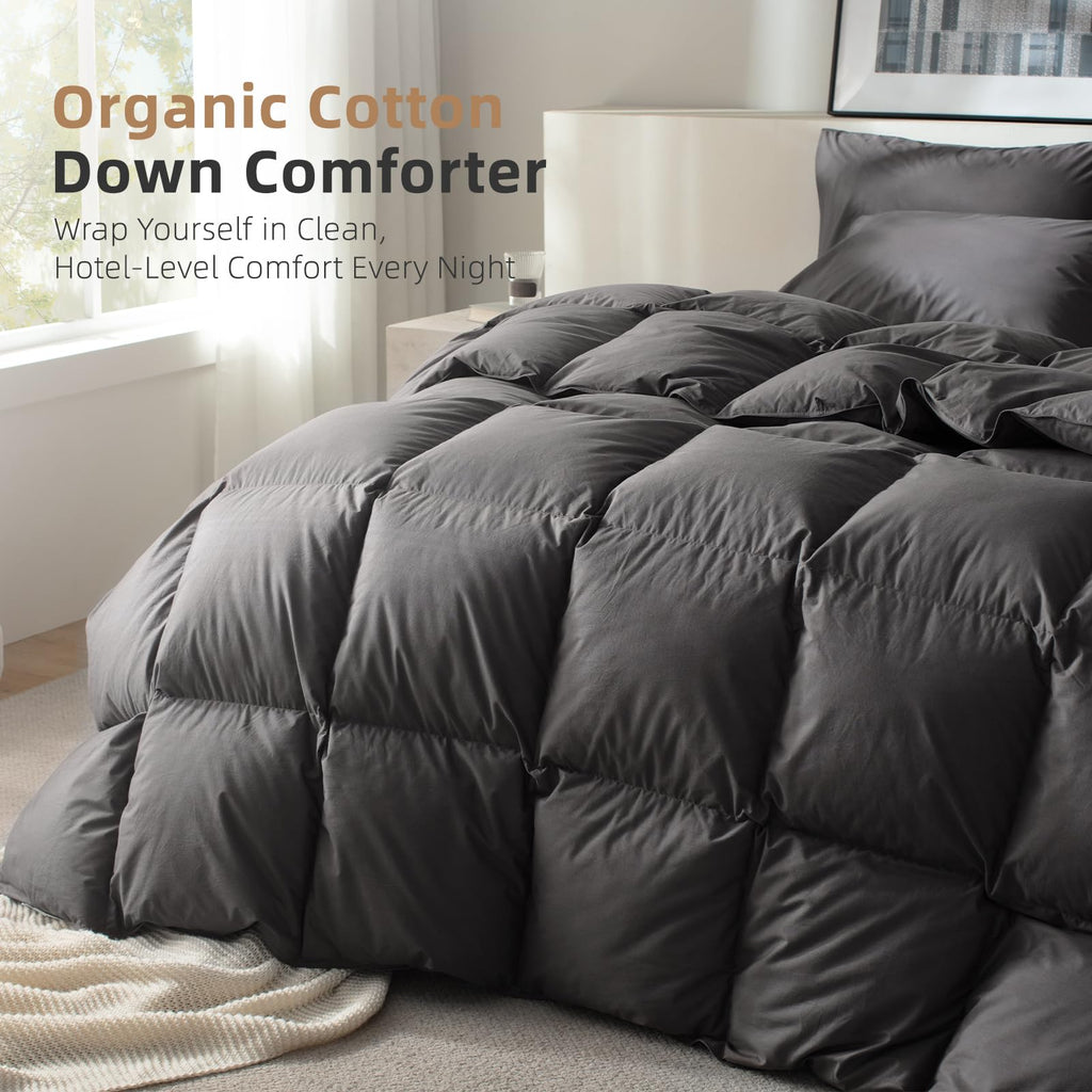 Hungarian Feather Down Comforter Oversized King, 100% Organic Cotton Cover