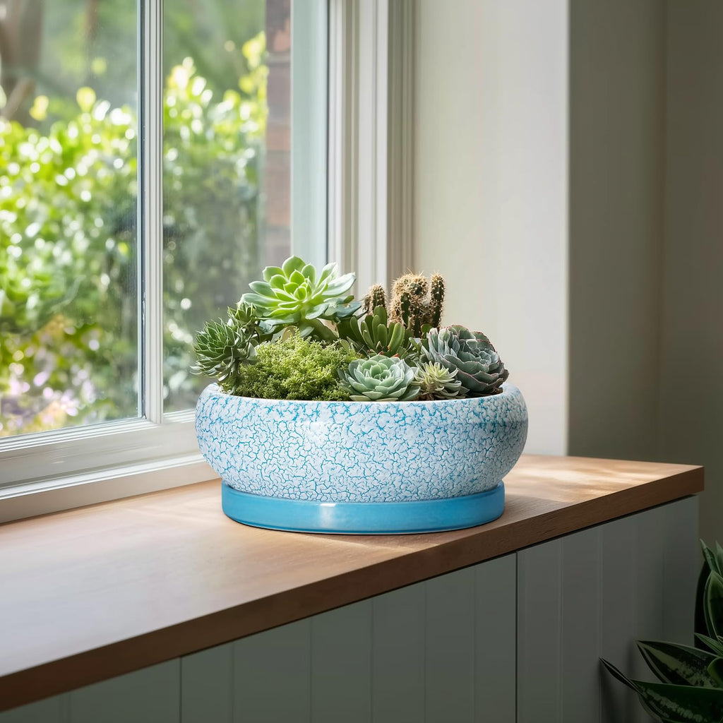 Ceramic Bonsai Pots, 13 Inch Ceramic Succulent Pots Indoor, Blue