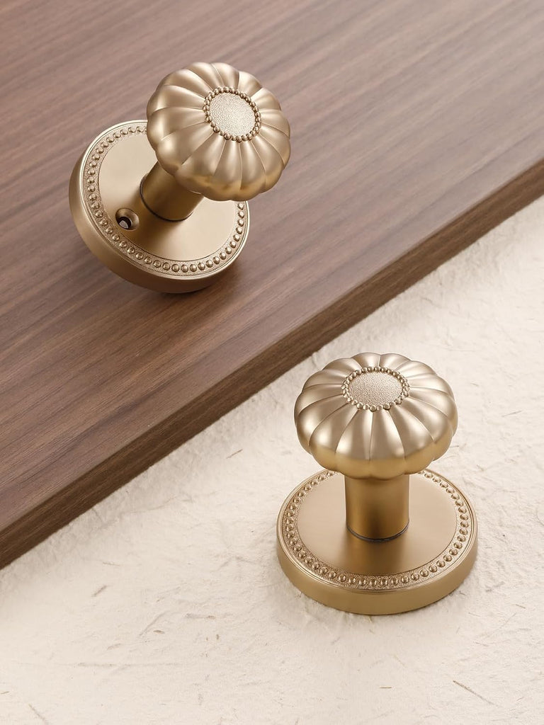 Door Knob Champagne Bronze Passage Interior 1 Pack