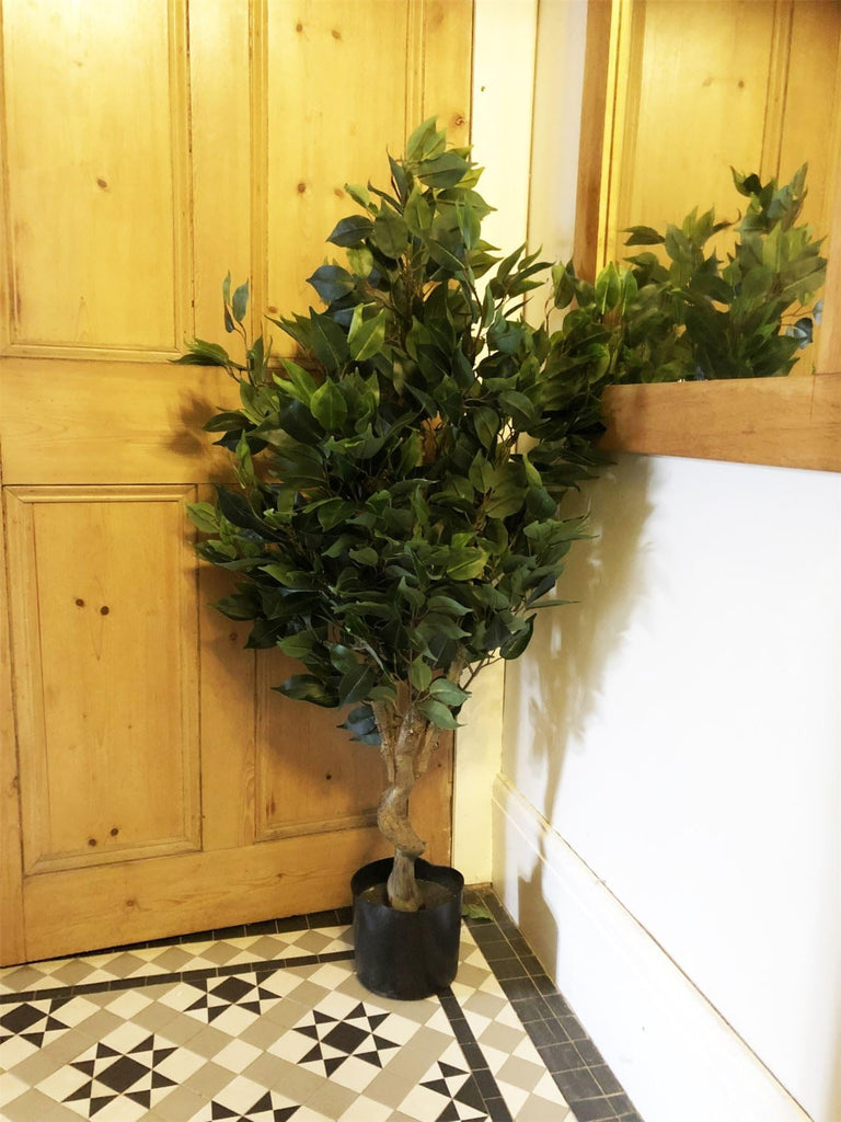 Artificial Tree/Plant, Mixed Materials, Green Ficus Twist, 110cm