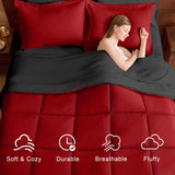 Queen Comforter Set 7 Pieces, Reversible Queen Bed in a Bag with All Season Premium Comforter