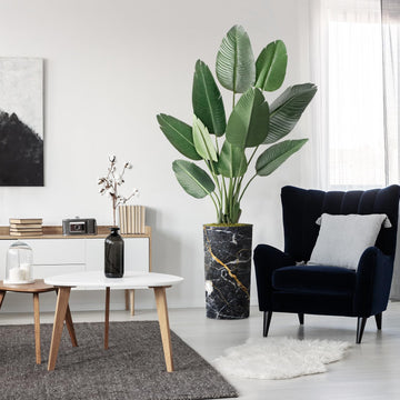 Artificial Tree in Modern Granite Effect Planter, Fake Bird of Paradise Silk Trees for Indoor and Outdoor Home