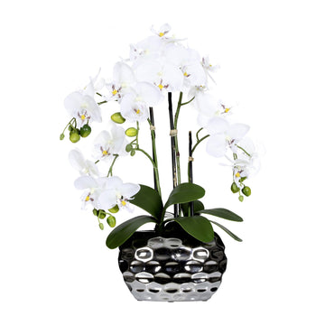 Artificial Flower, Fake Orchid Phalaenopsis Including Textured Metallic-Silver Vase, 24" (White)
