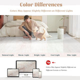 Area Rugs 8x10 Living Room: Washable Rug Modern Abstract Large Rugs Soft Non Slip Neutral Rug Stain Resistant Indoor