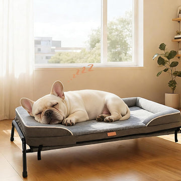Outdoor Elevated Dog Beds for Small Dogs, Portable Indoor & Outdoor Cooling Raised Cot Pet Hammock Bed