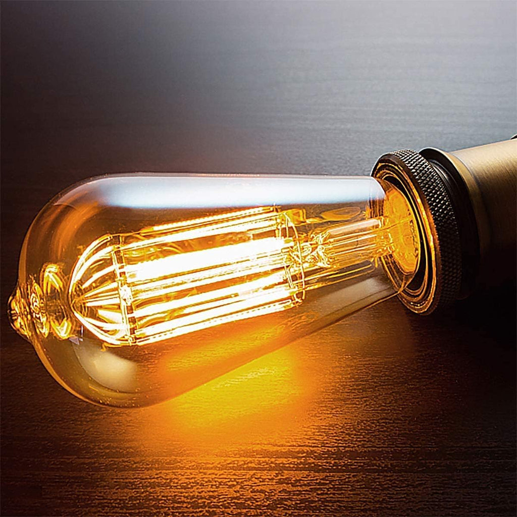 Edison Bulbs,60W Incandescent Light Bulbs,E26 Warm Amber Glass