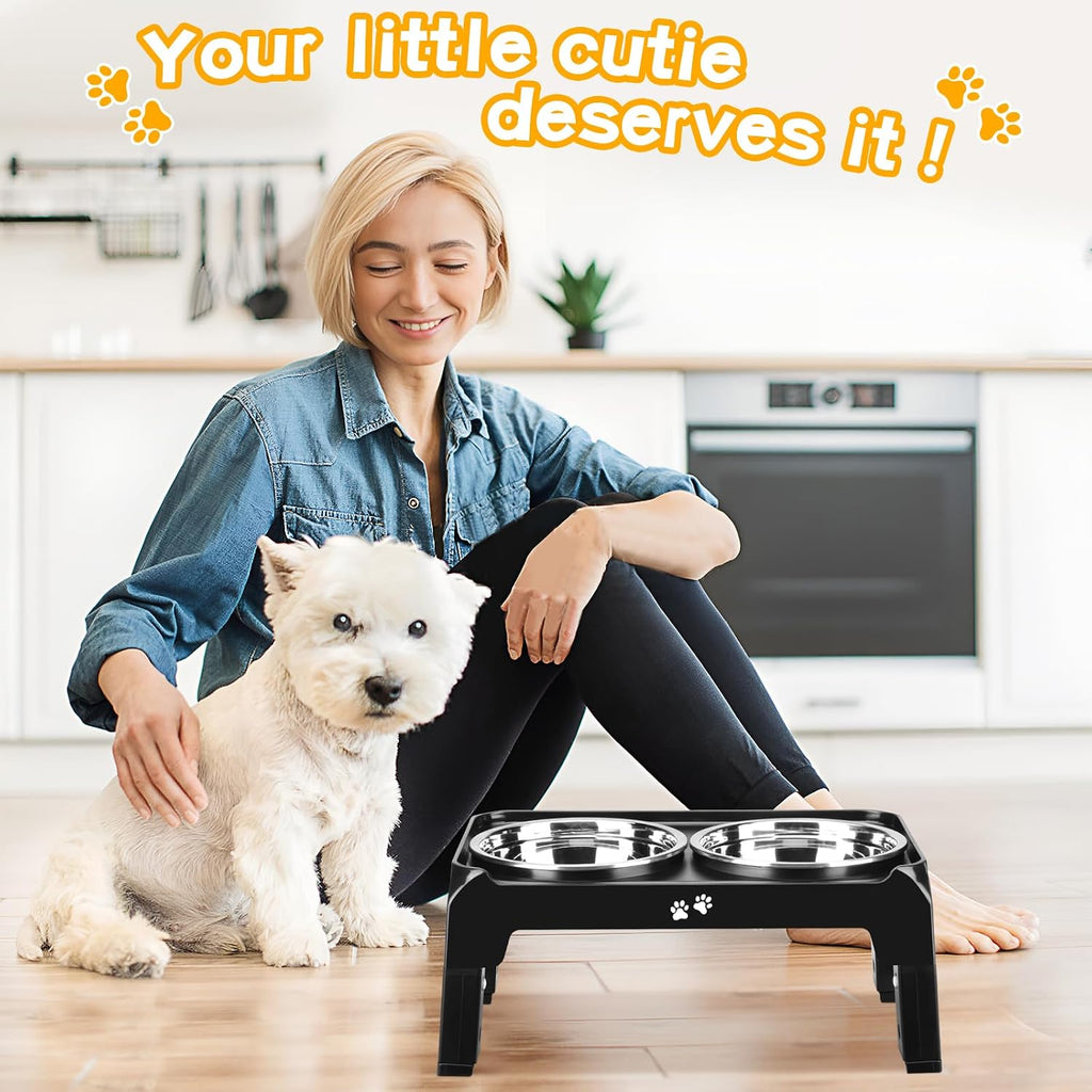 Elevated Dog Bowls for Small Medium Dogs, 3 Height Adjustable Raised Stand with 2 Thick 6" Stainless Steel Food